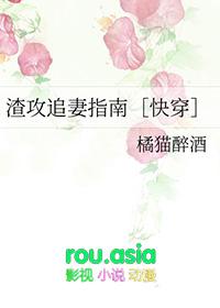 渣攻追妻火葬场全文免费阅读