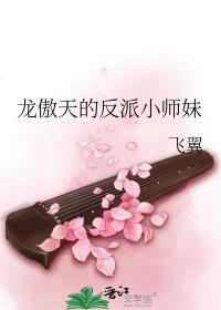 龙傲天反派