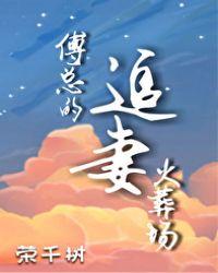 傅总的追妻火葬场免费观看