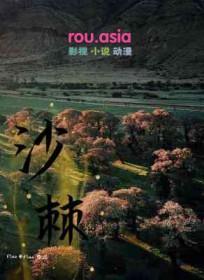 沙棘的功效与作用主要治什么病