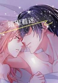暗里着迷吉他谱