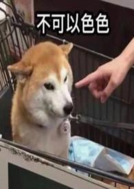 穿成年代文里的恶毒女配(高h)/恋曲