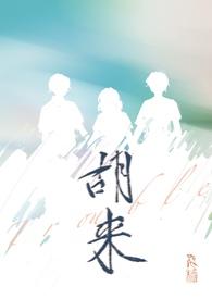 胡来的意思
