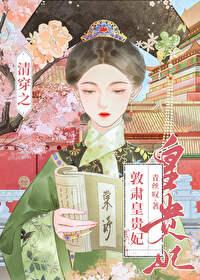 清穿之哲皇贵妃无弹窗