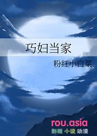 巧媳妇当家txt