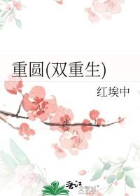 双重生的宠文