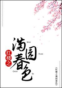 红楼梦之同人