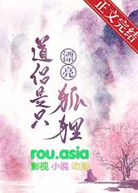 道侣是狐仙