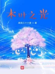 木叶之夜光txt