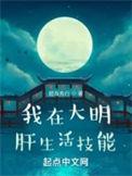 我在大明开酒店