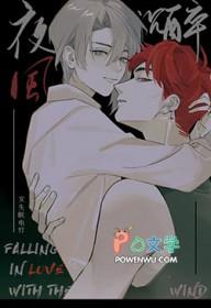 夜风免费阅读(易看)
