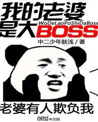 我的老婆是大boss笔趣阁