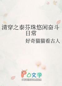 清穿之皇太子妃