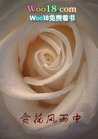 贪花风雨中全文免费