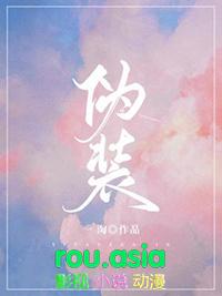 伪装是什么意思