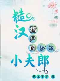 糙汉猎户的替嫁小夫郎讲的什么