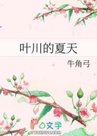 叶川的夏天 番外 TXT百度