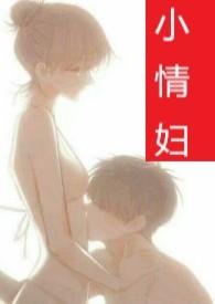 小情妇是啥