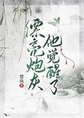 漂亮炮灰说的什么