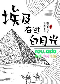 人在埃及