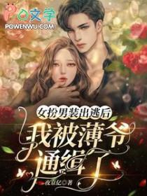 女扮男装后我被迫清心