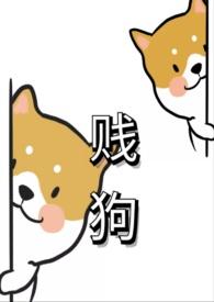 贱狗的意思