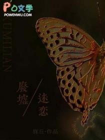 废墟什么
