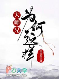大师兄怎么理解