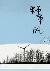野草风(盒粒