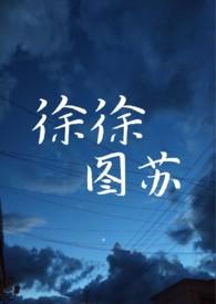 徐徐图之简介