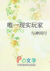 全球唯一玩家