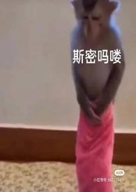 泡芙小姐小智