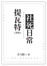 原神提瓦特游览指南全套