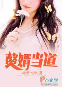 赘婿当道有声