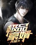 绝品豪婿在哪里可以看全文