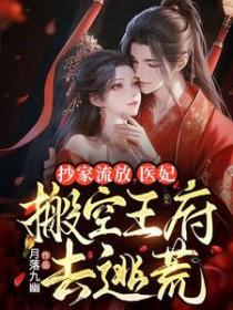抄家流放医妃搬空王府去逃荒视频