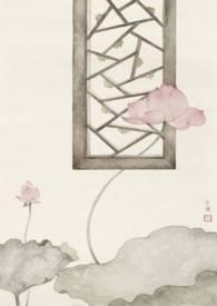 愿我如星君如月po