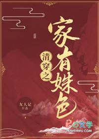 清穿之有妃陆氏全文阅读