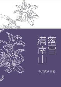 落雪满南山怎么样