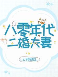八零年代二婚妻爱
