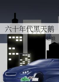 六十年代黑天鹅310