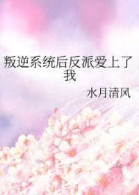反叛系统之boss来袭