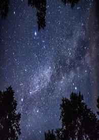 绝对吸引by鹤吾