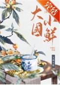 大国小鲜科举TXT百度