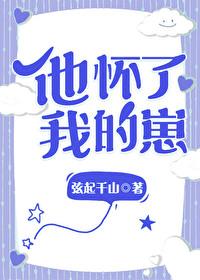 他怀了我的孩子 弦起