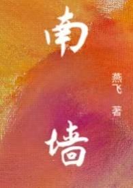 南墙全文免费阅读