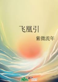 飞凰引番外