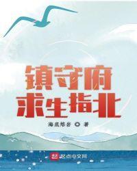 镇守府求生指北 顶点