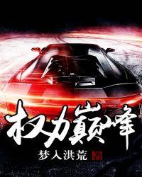 权力巅峰王鸿涛免费阅读全文