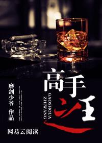 高手之城